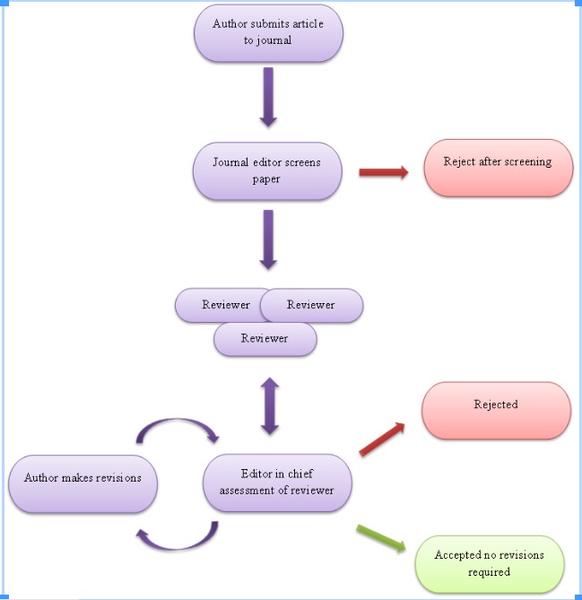 Evalution Process