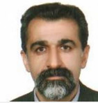 دکتر حسین حسن پور آلاشتی