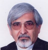 Professor Hossein Vosoughi